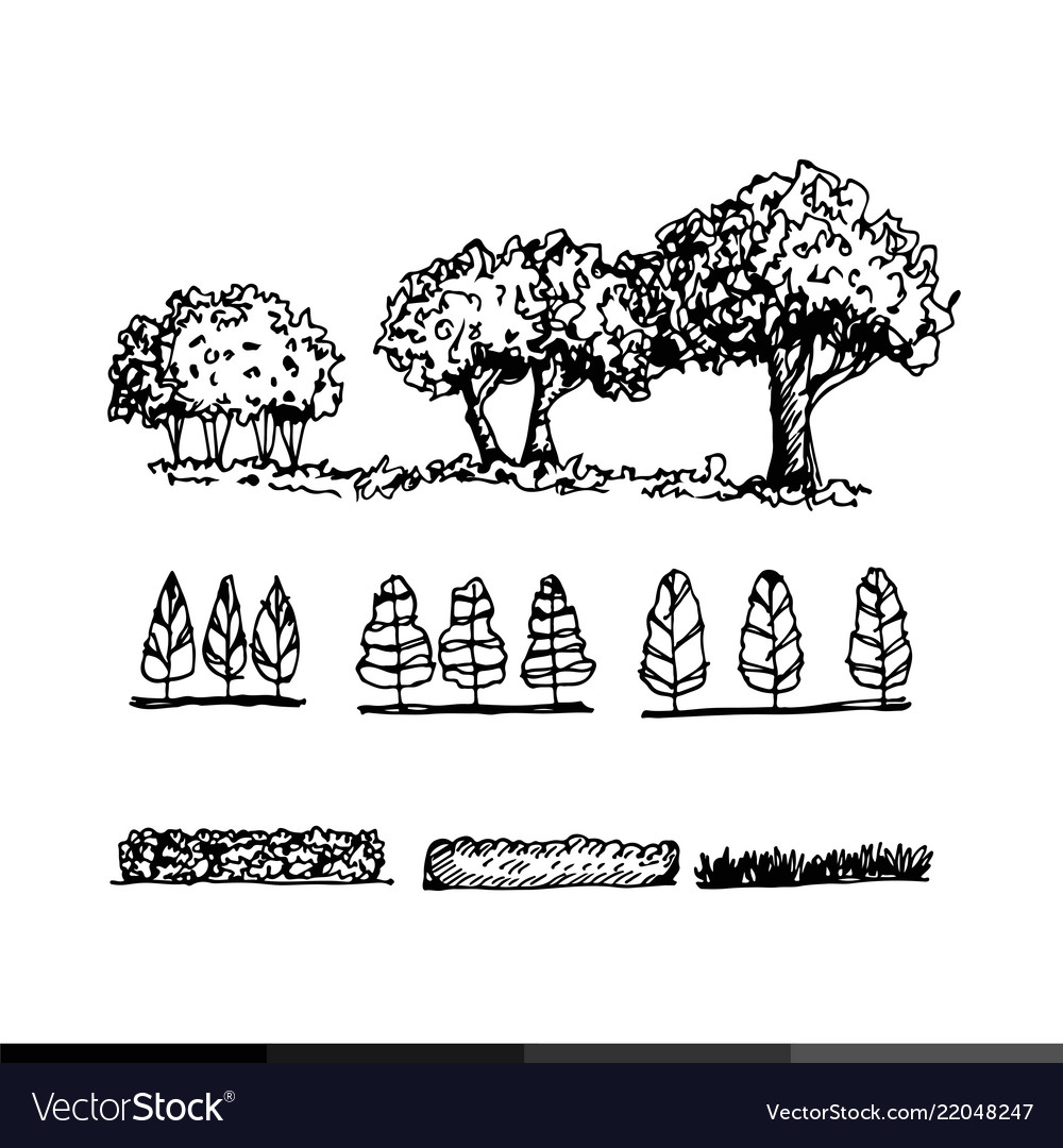 Hand Draw Tree Icon Design Royalty Free Vector Image