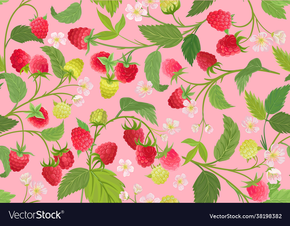 Seamless Raspberry Pattern With Summer Berries Vector Image