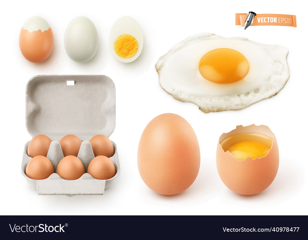 Collection Of Realistic Eggs Royalty Free Vector Image