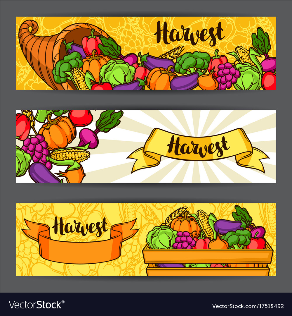 Harvest Festival Banners Autumn Royalty Free Vector Image