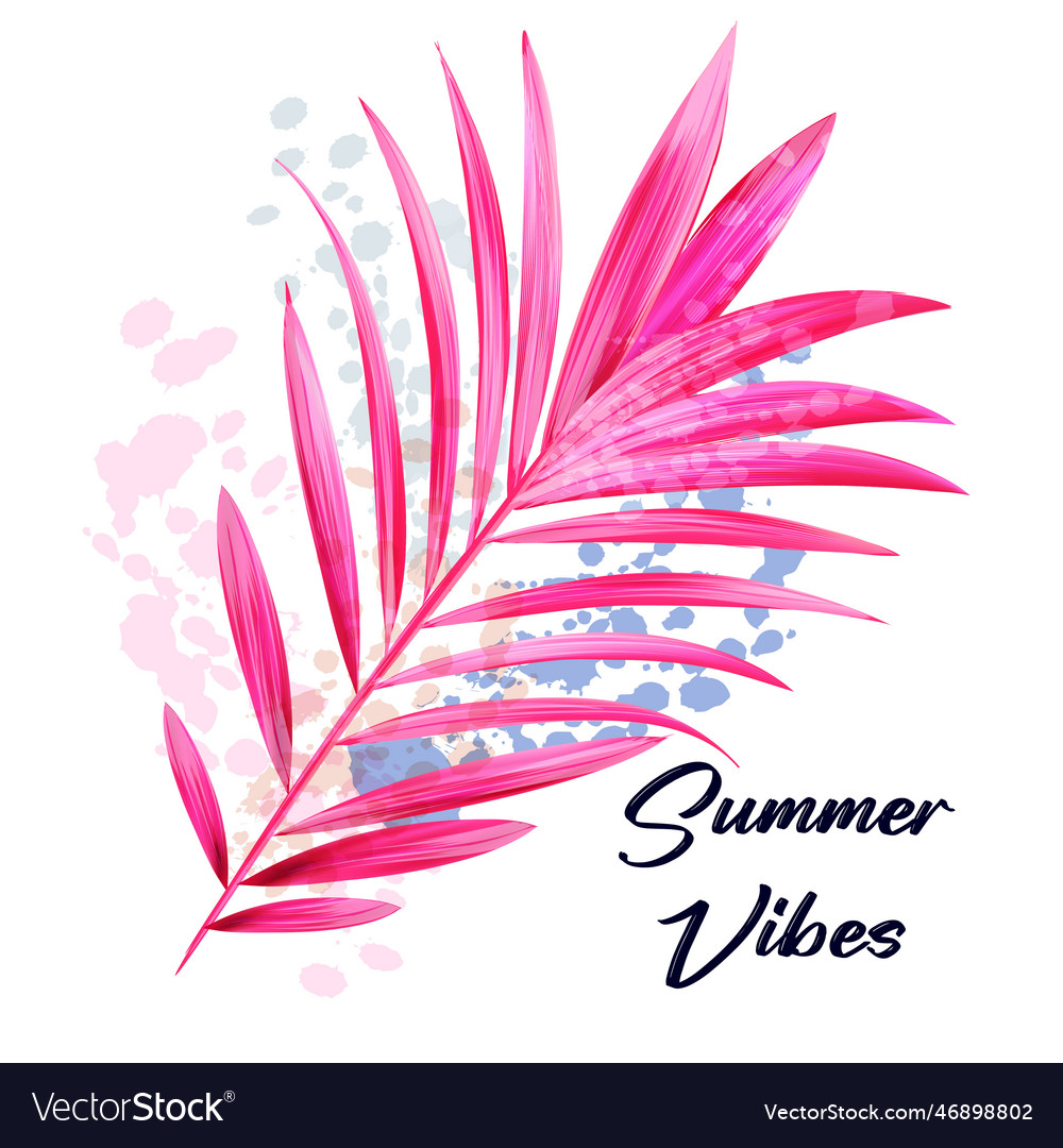 Beautiful Tropical Pink Palm Leaf Royalty Free Vector Image