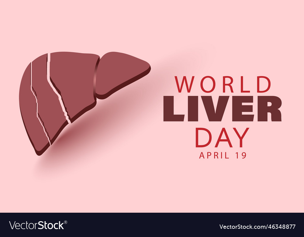 World Liver Day Royalty Free Vector Image VectorStock