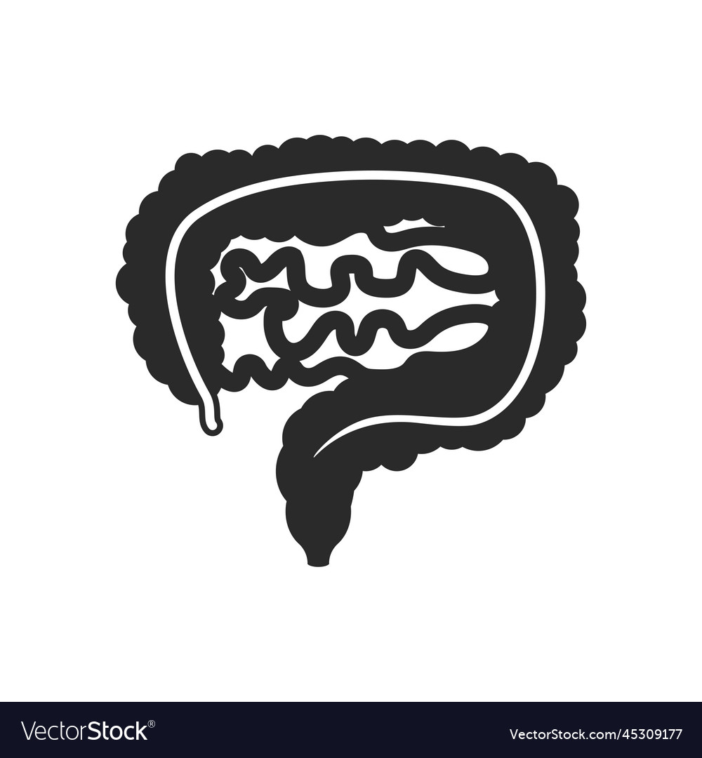 Intestine Icon Royalty Free Vector Image Vectorstock