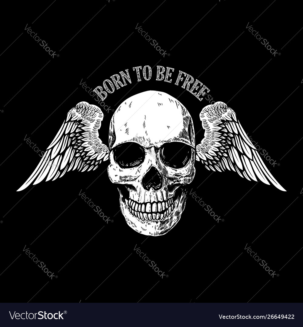 Born To Be Free Hand Drawn Winged Skull On Dark Vector Image