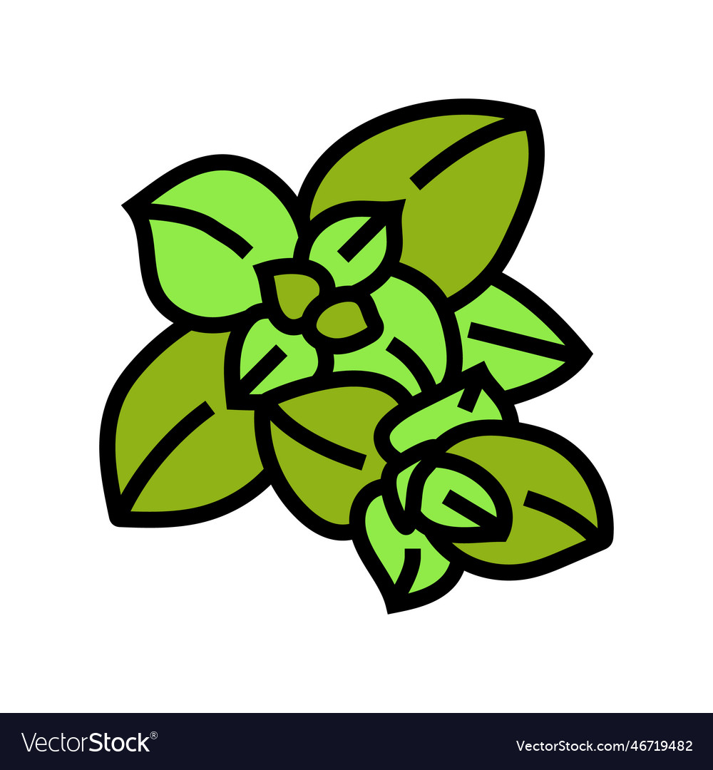 Oregano Food Herb Color Icon Royalty Free Vector Image