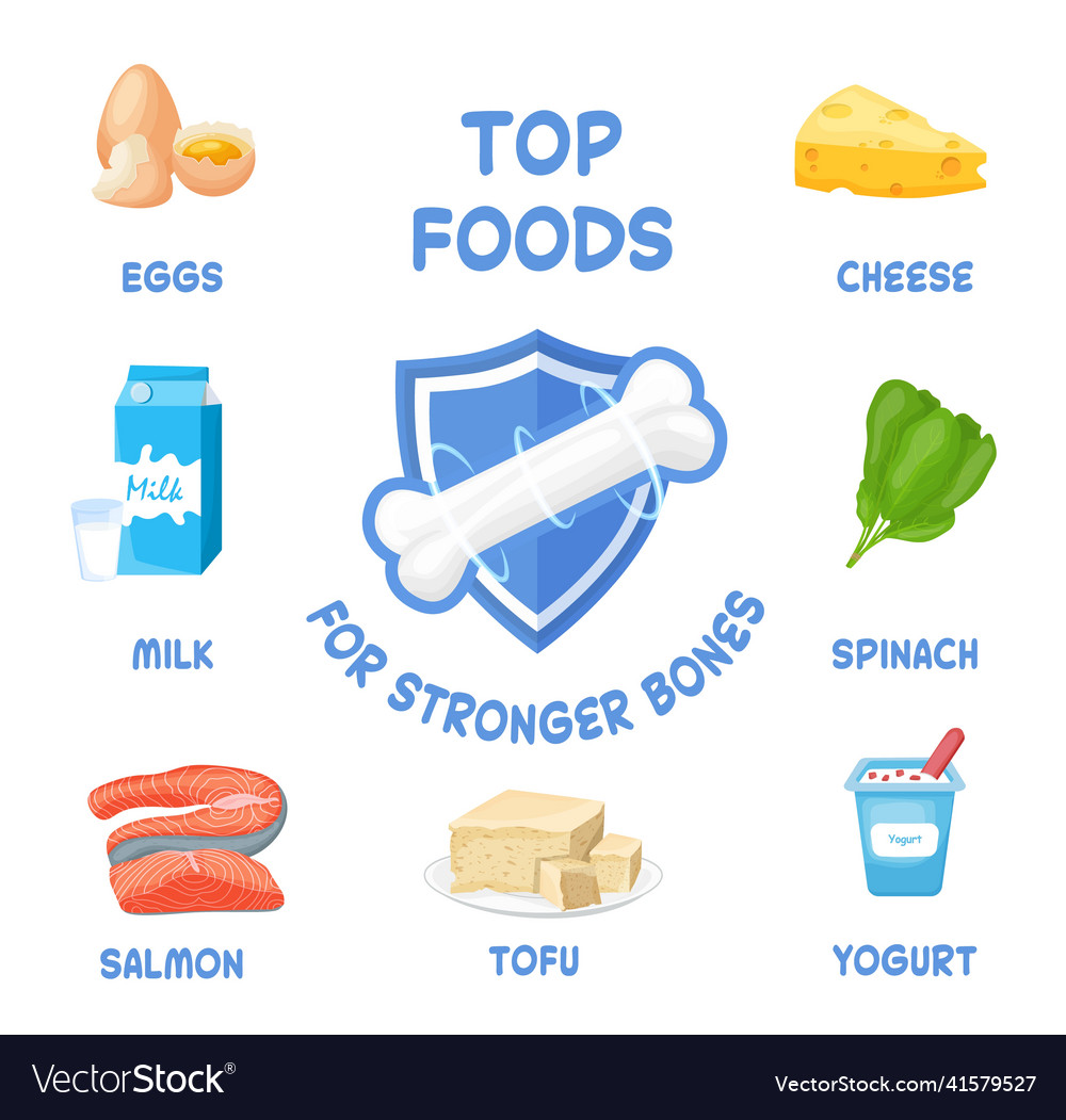 Strong Healthy Bones Foods Human Health Medical Vector Image