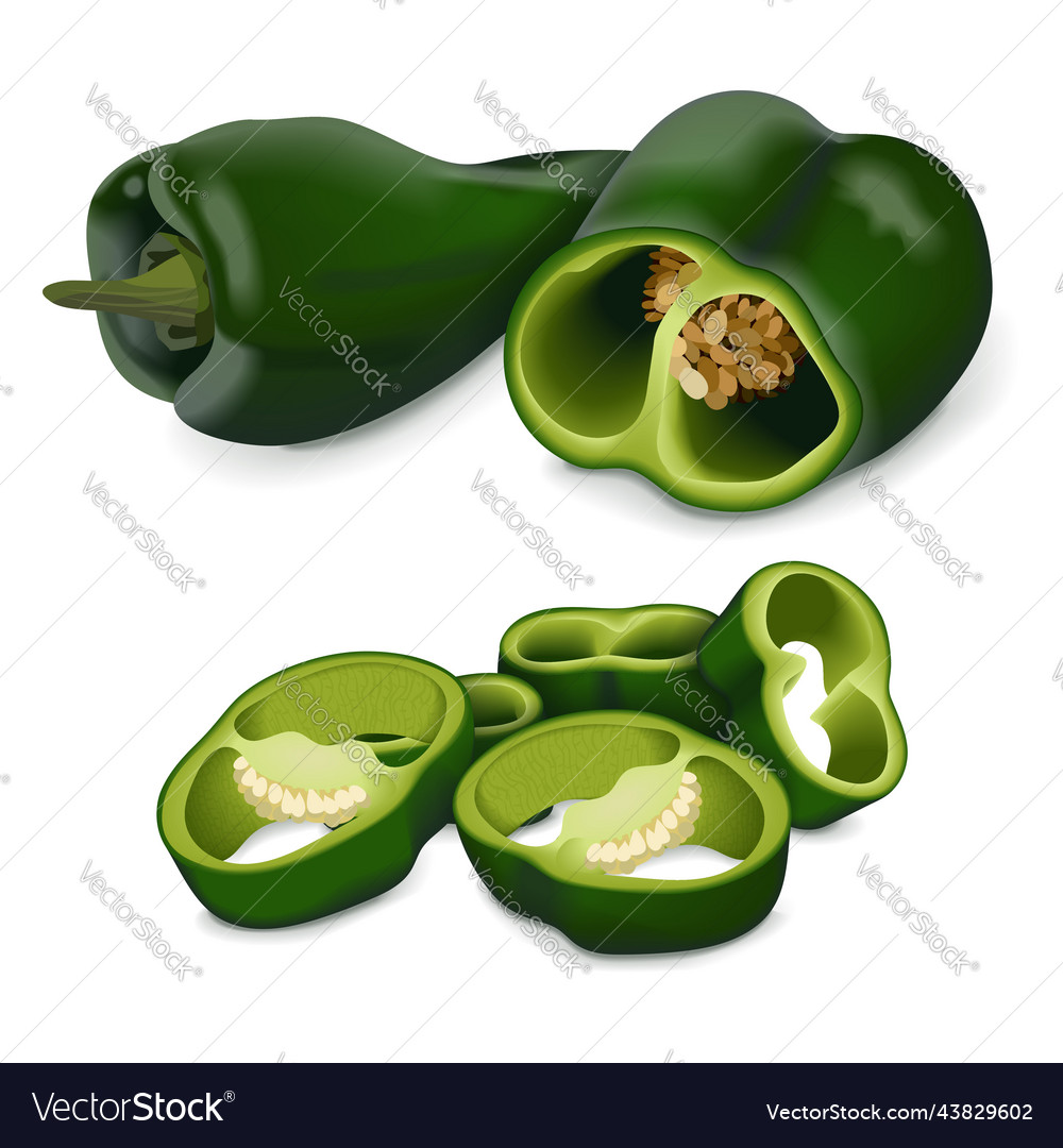 Whole Quarter Slices Wedges Of Poblano Pepper Vector Image