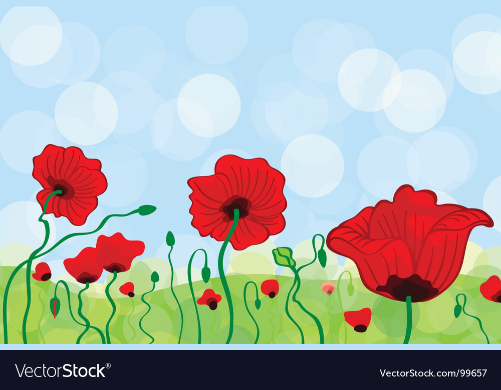 Poppy Field Royalty Free Vector Image VectorStock