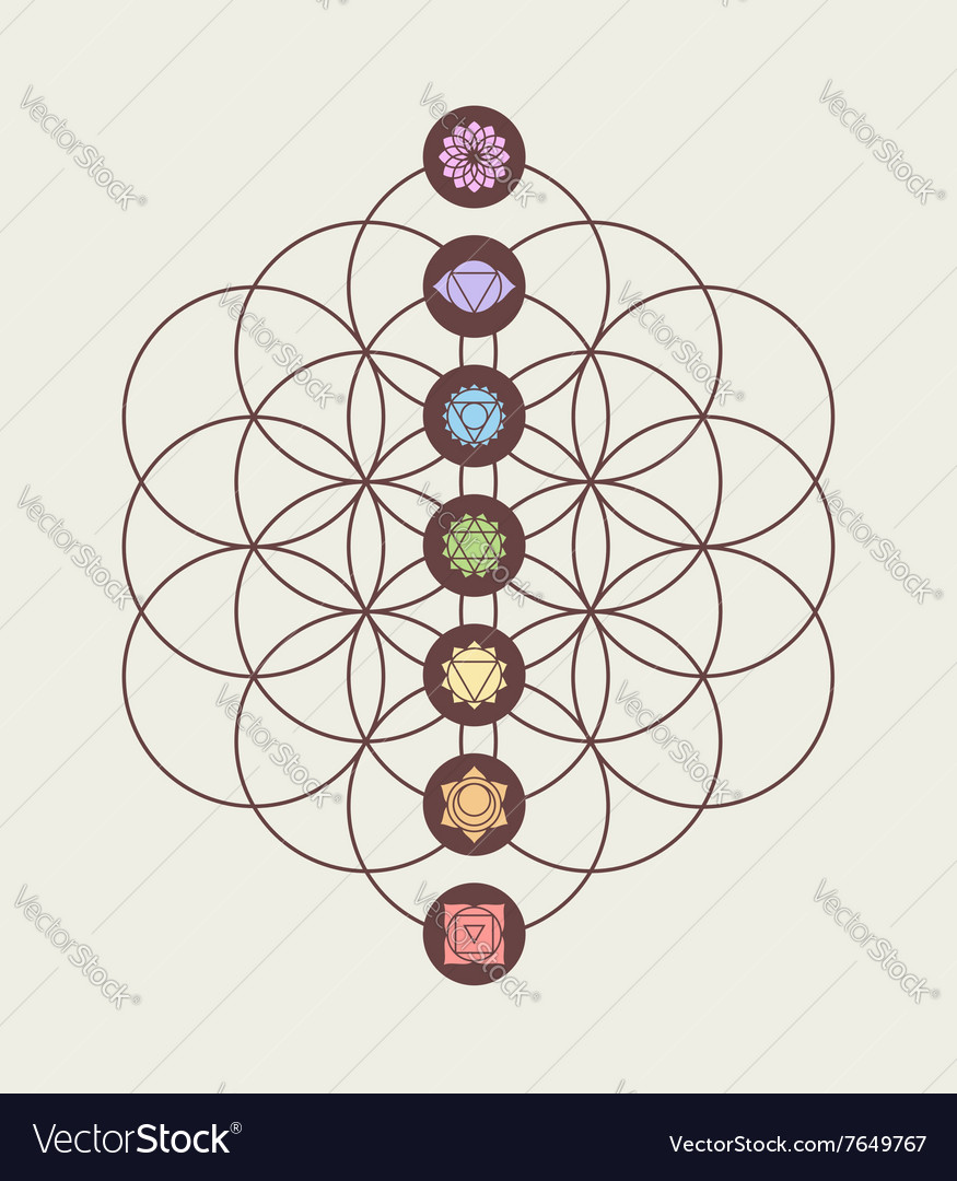 Chakra Icons On Flower Of Life Modern Design Vector Image