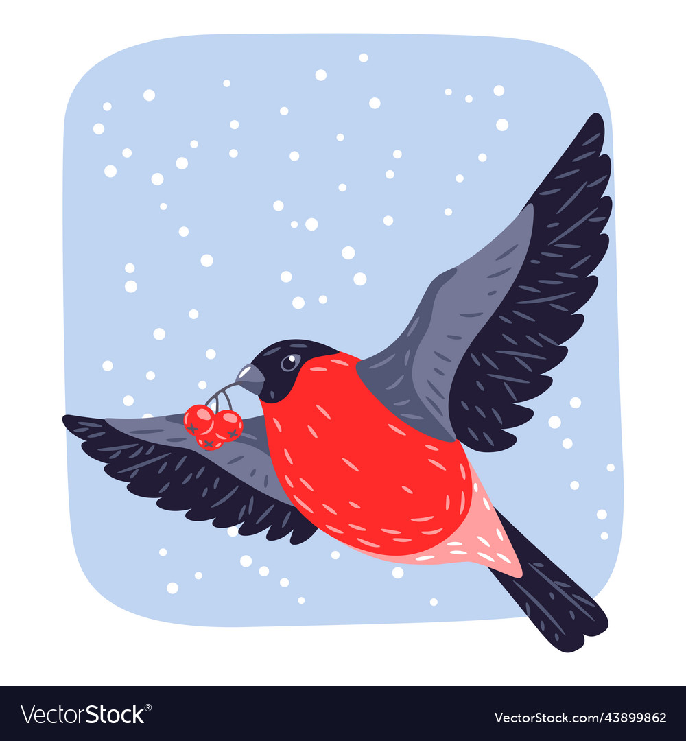 Winter Of Bird Bullfinch And Rowan Royalty Free Vector Image