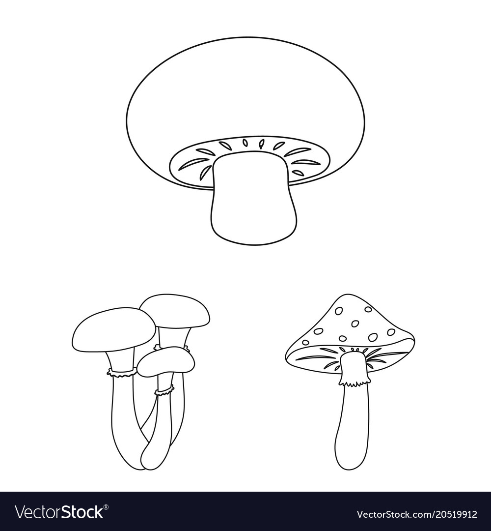 Poisonous And Edible Mushroom Outline Icons In Set