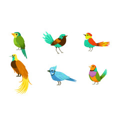 Exotic Birds Vector Images Over