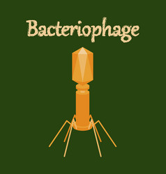 Human Icon In Flat Style Bacteriophage Royalty Free Vector