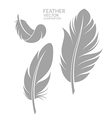 Feather Set Royalty Free Vector Image Vectorstock