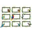 Set Of Parrot Character Royalty Free Vector Image