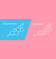 Estrogen And Testosterone Hormones Symbol Sex Vector Image