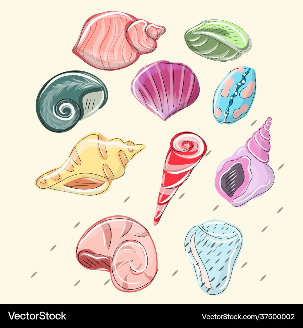 Seashells set Royalty Free Vector Image - VectorStock