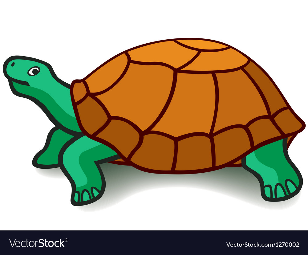 Turtle Royalty Free Vector Image - VectorStock