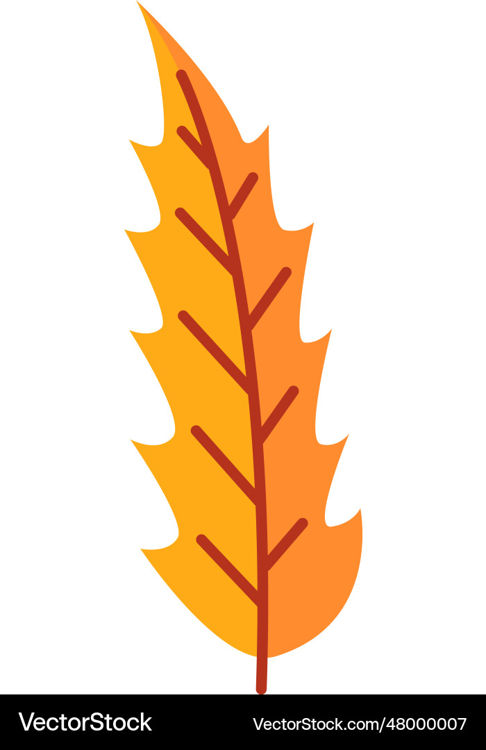 Autumn tree leaf Royalty Free Vector Image - VectorStock