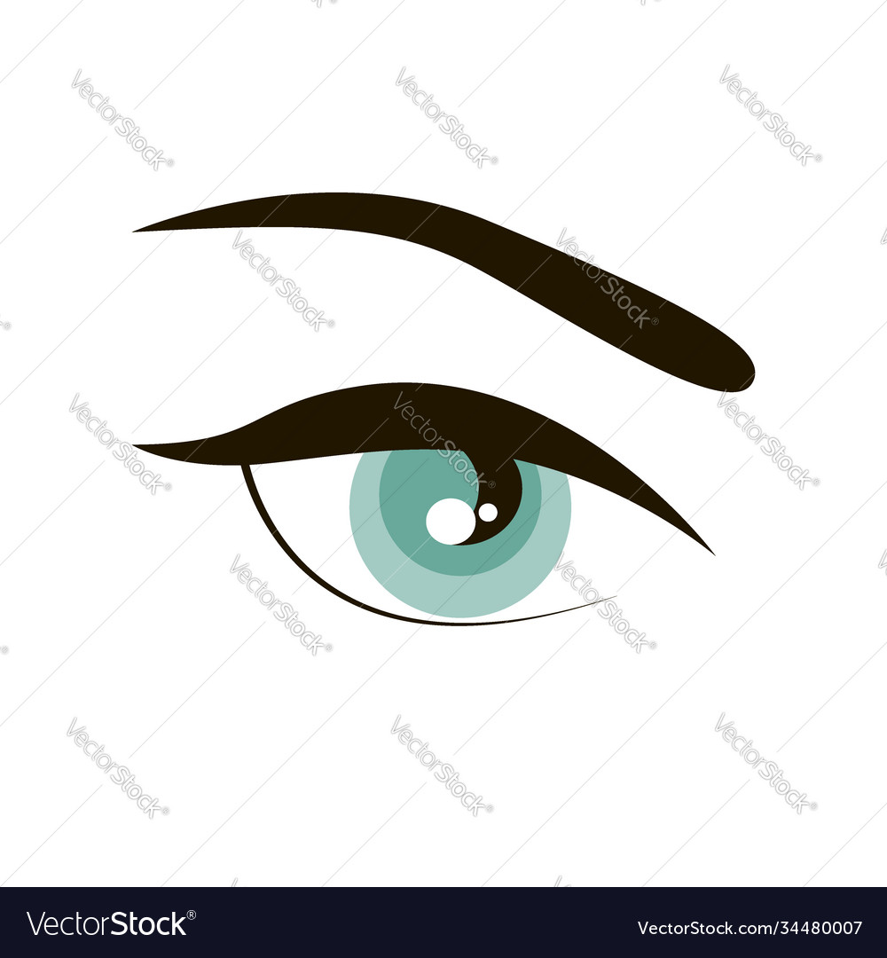 Open Eye With Eyebrow Simple Sign Icon Royalty Free Vector