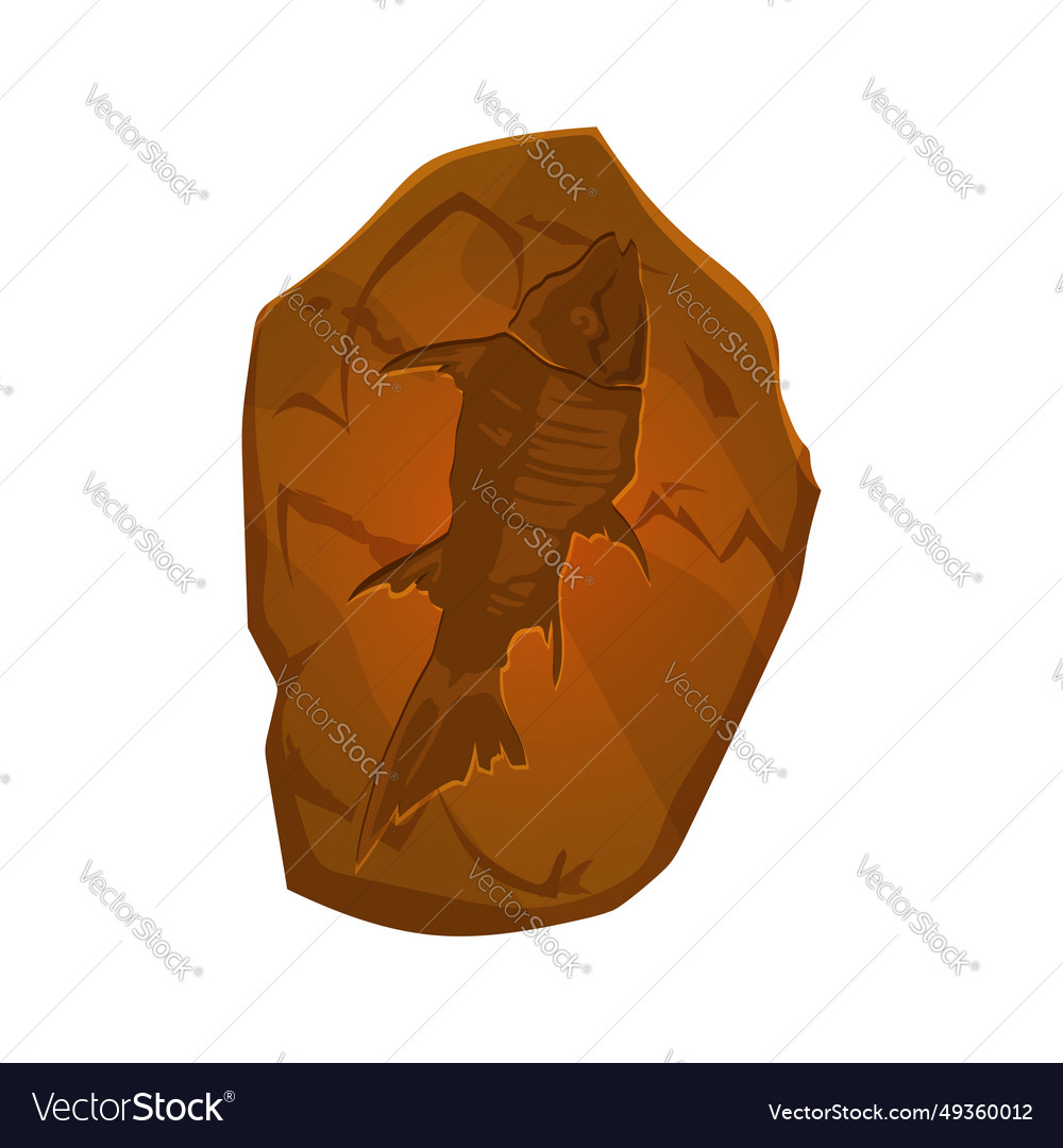 Ancient fossil fish skeleton imprint in stone Vector Image