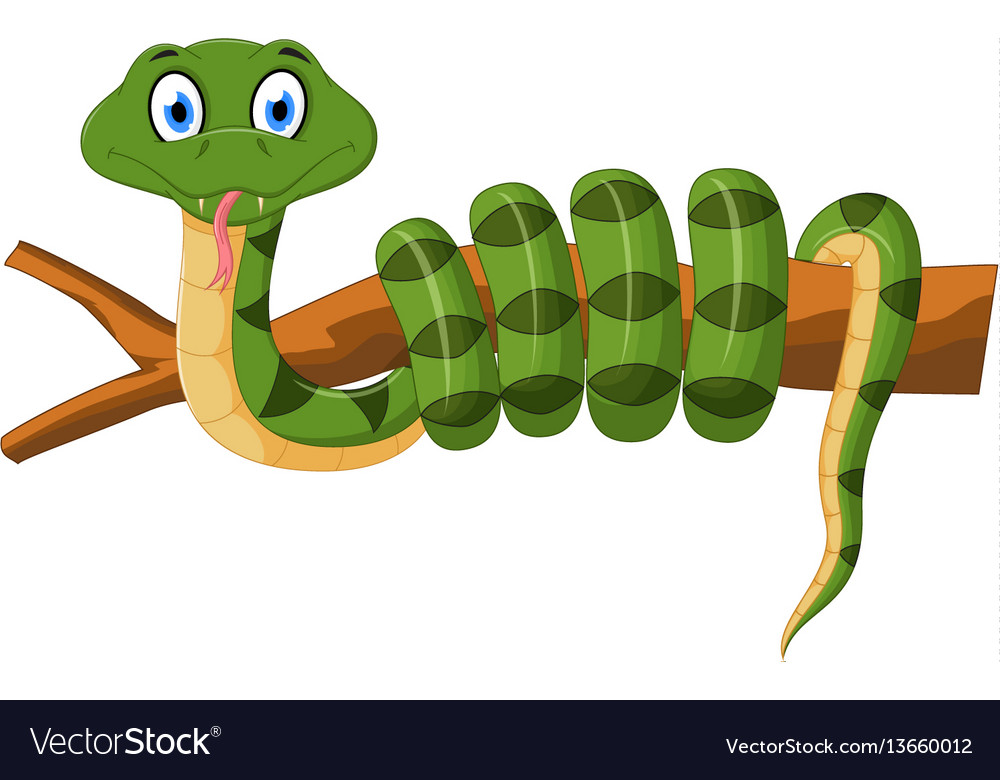 Premium Vector, Cartoon green snake on tree branch