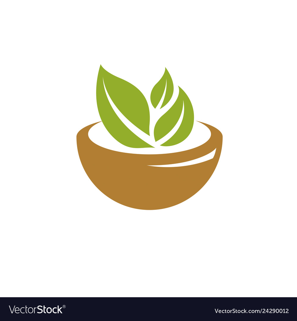 Mortar and pestle isolated on white alternative Vector Image