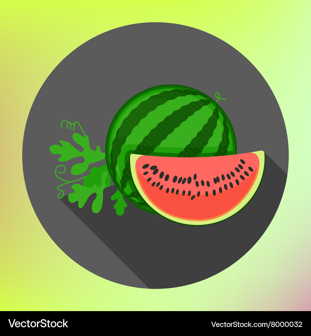 Sliced watermelon flat long shadow Royalty Free Vector Image