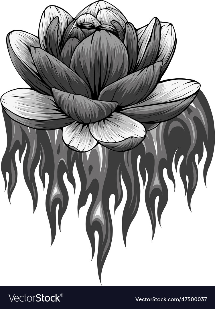 Monochromatic of water lily Royalty Free Vector Image