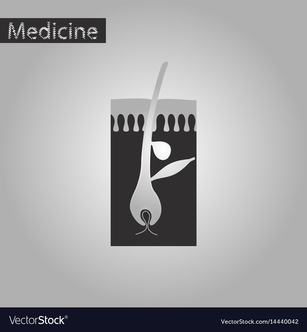 Black And White Style Icon Of Hair Follicles Vector Image