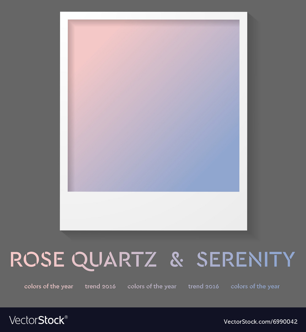 Polaroid Frame With Trend Color 2018 Rose Quartz