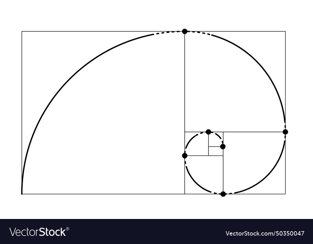 Golden ratio fibonacci ideal proportion sections Vector Image