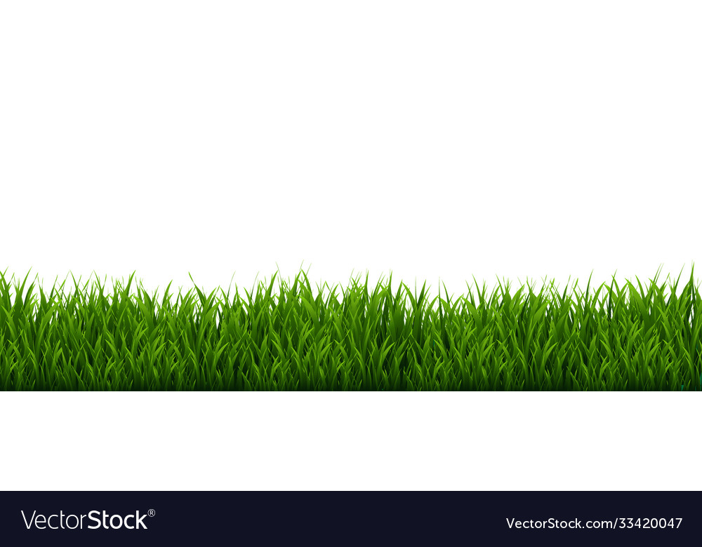 Green grass frame and isolated white background Vector Image