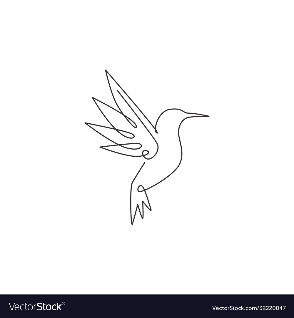 One single line drawing cute hummingbird Vector Image