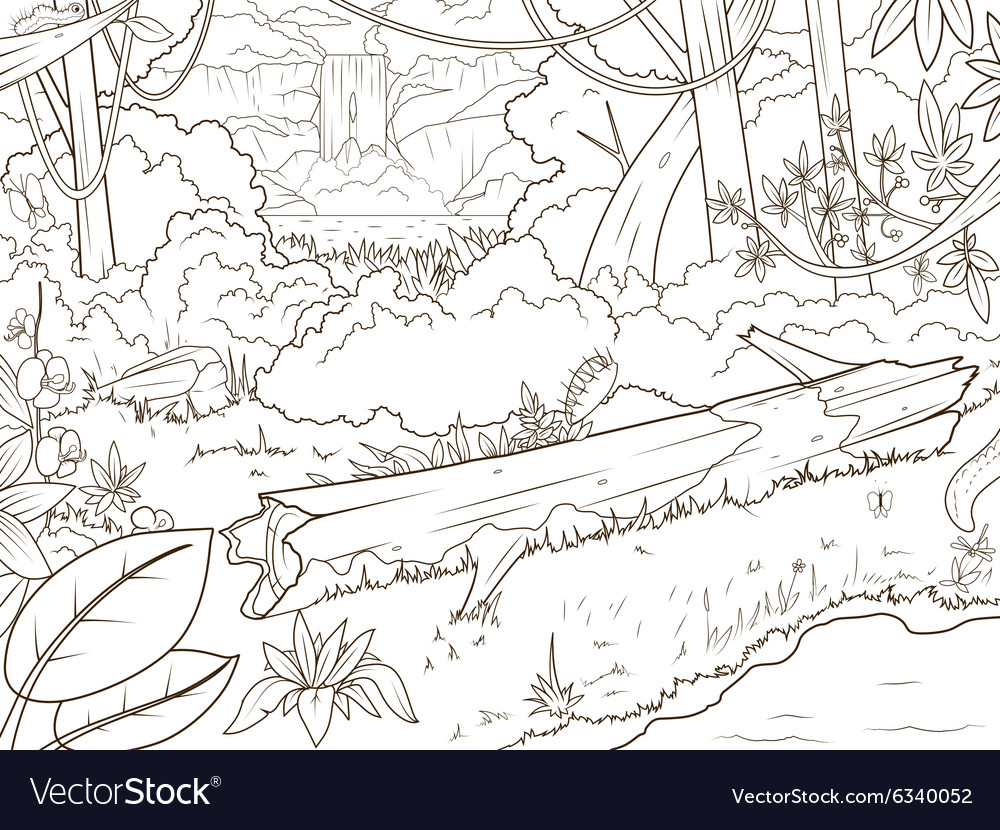 Jungle forest waterfal coloring book cartoon Vector Image