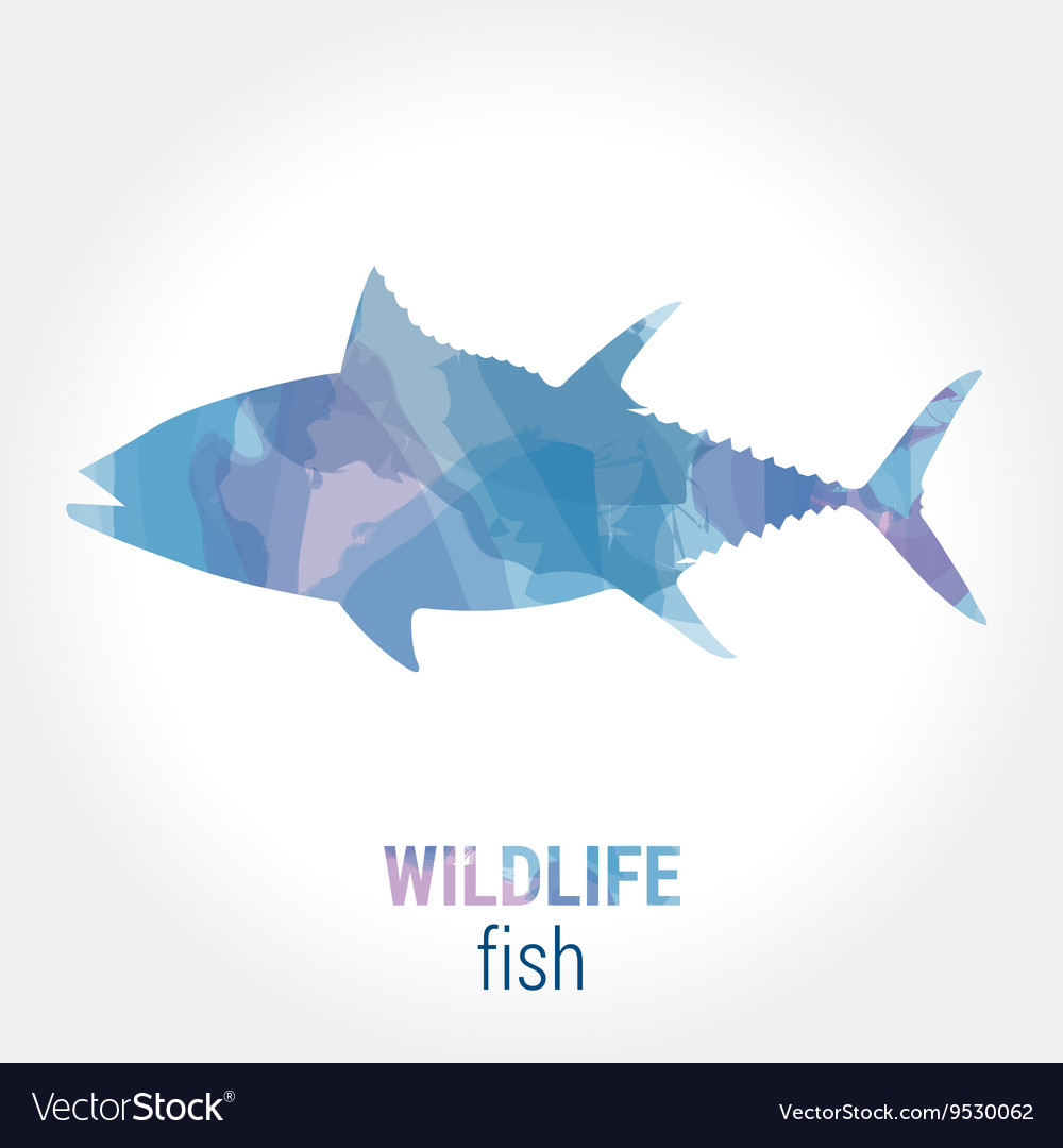 Wildlife Banner Fish Tuna Royalty Free Vector Image