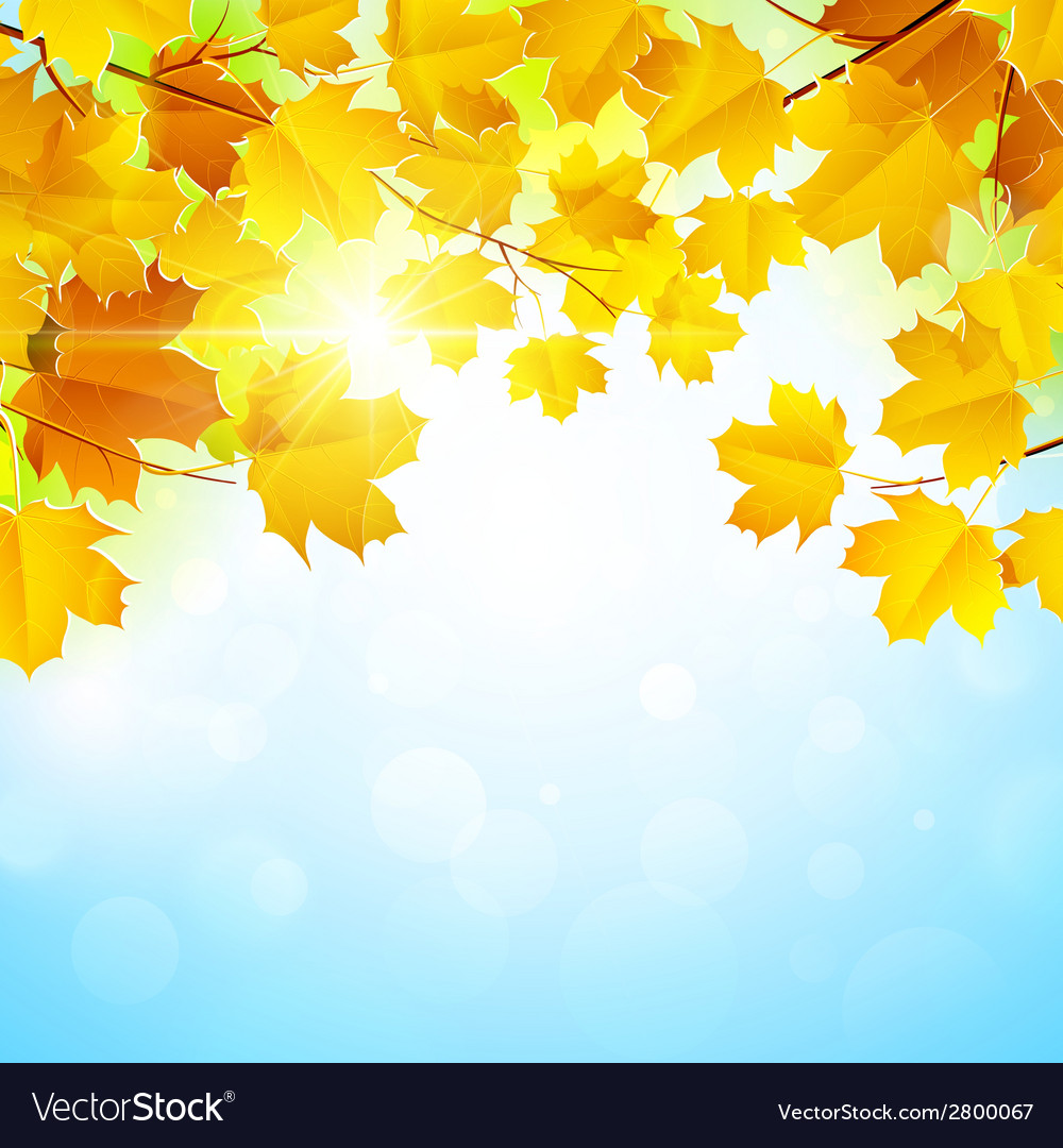 Autumn background Royalty Free Vector Image - VectorStock