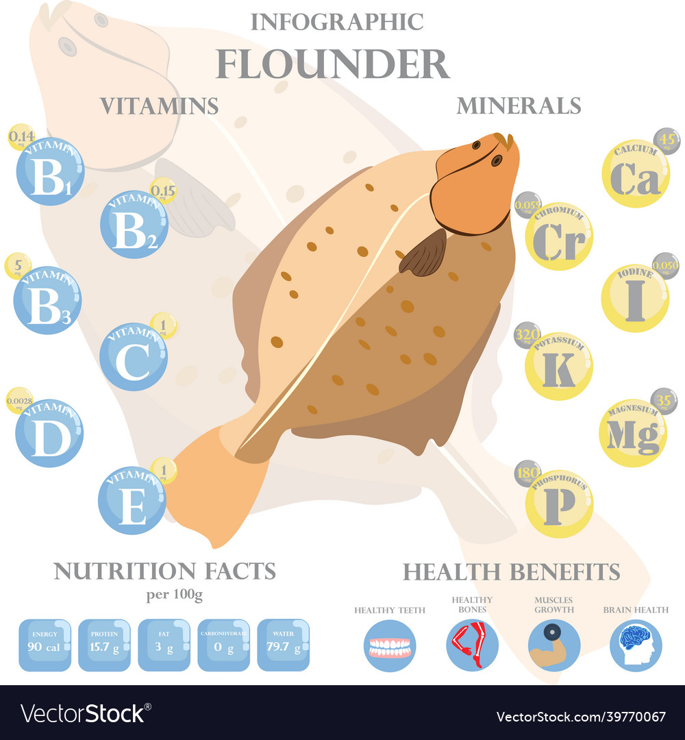 Flounder nutrition facts and health benefits Vector Image Flounder nutrition facts and health benefits Vector Image