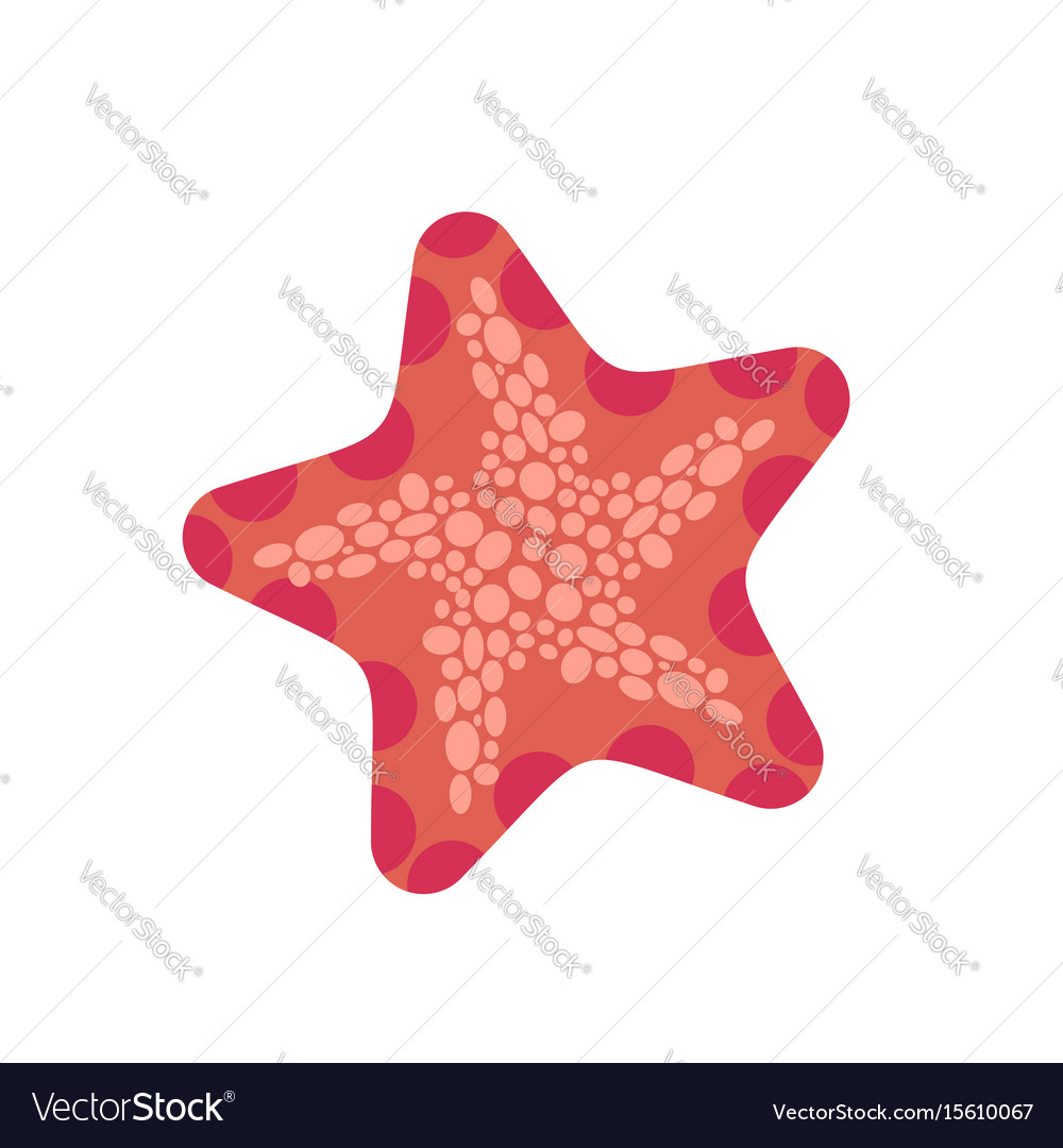 Starfish isolated sea animals on white background Vector Image Starfish isolated sea animals on white background Vector Image