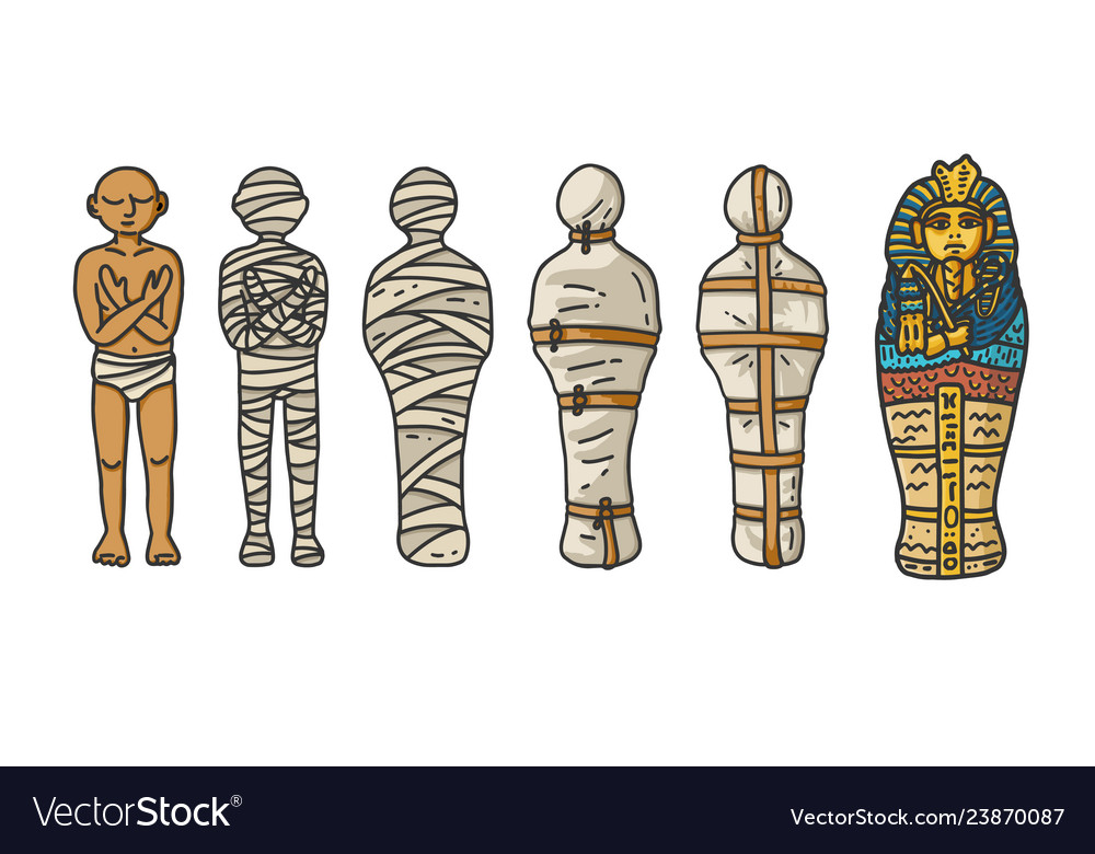 A six step process showing mummy creation Vector Image