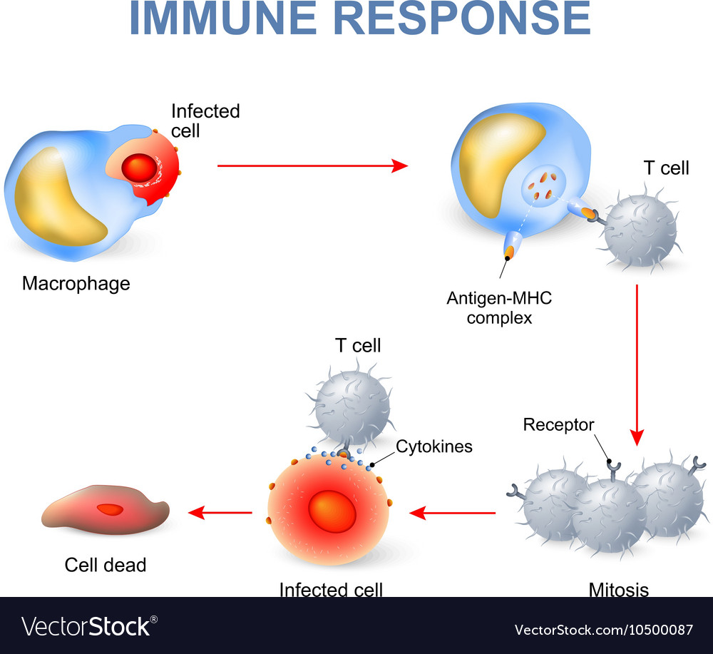 immunity tales