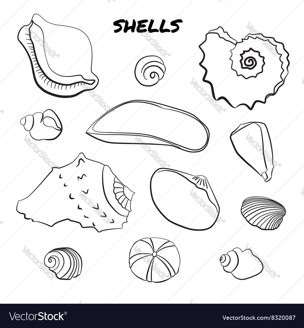 Set of hand drawn shells Royalty Free Vector Image