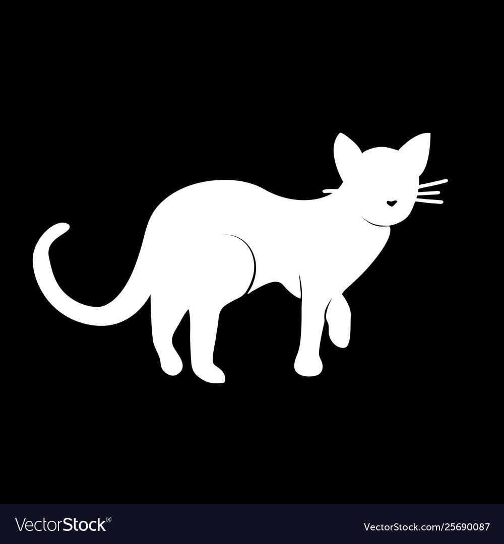 Silhouette white cat on black background Vector Image