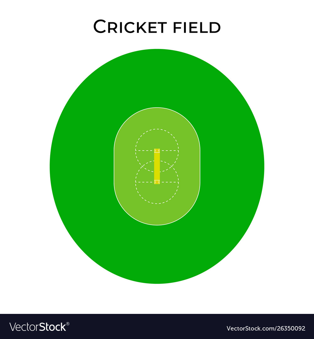 Cricket field in real proportions cricket stadium Vector Image