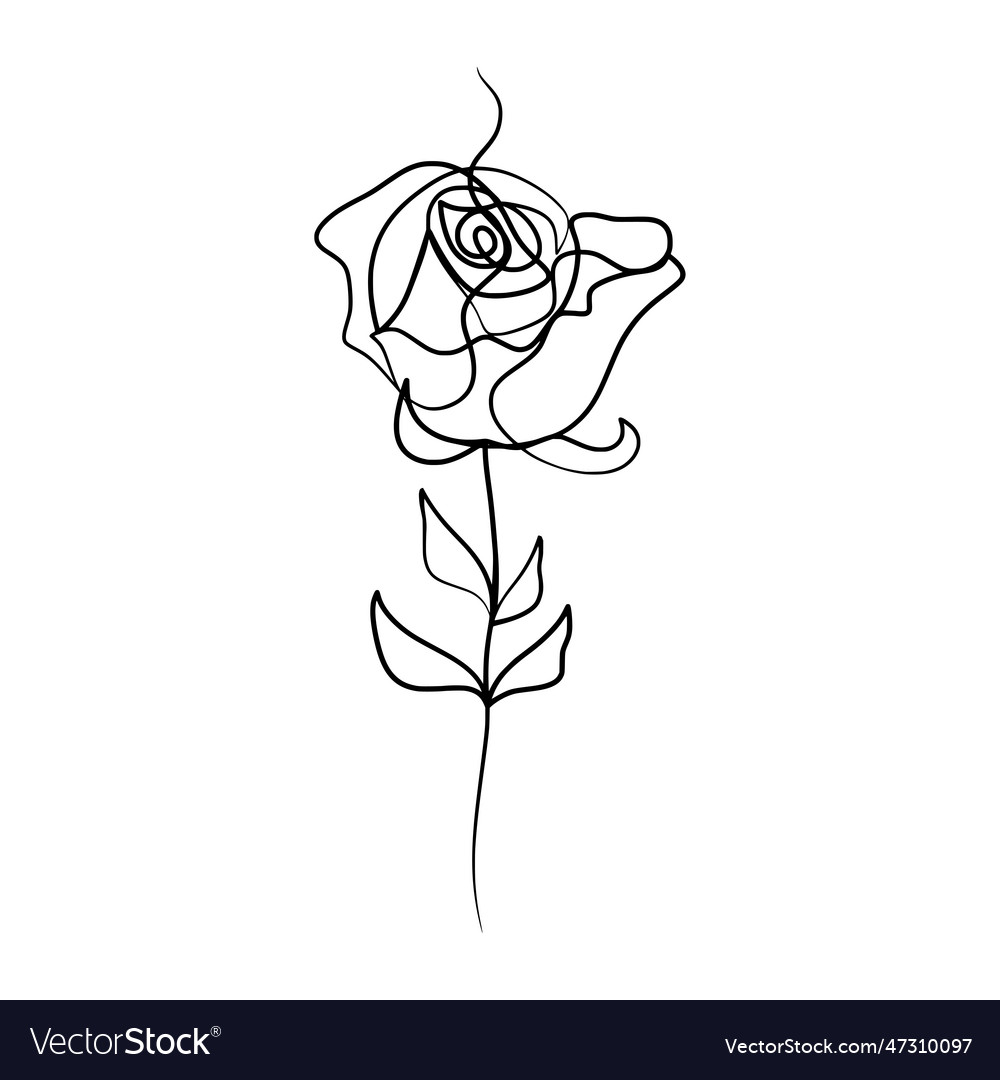 Continuous one line art drawing of beauty rose Vector Image