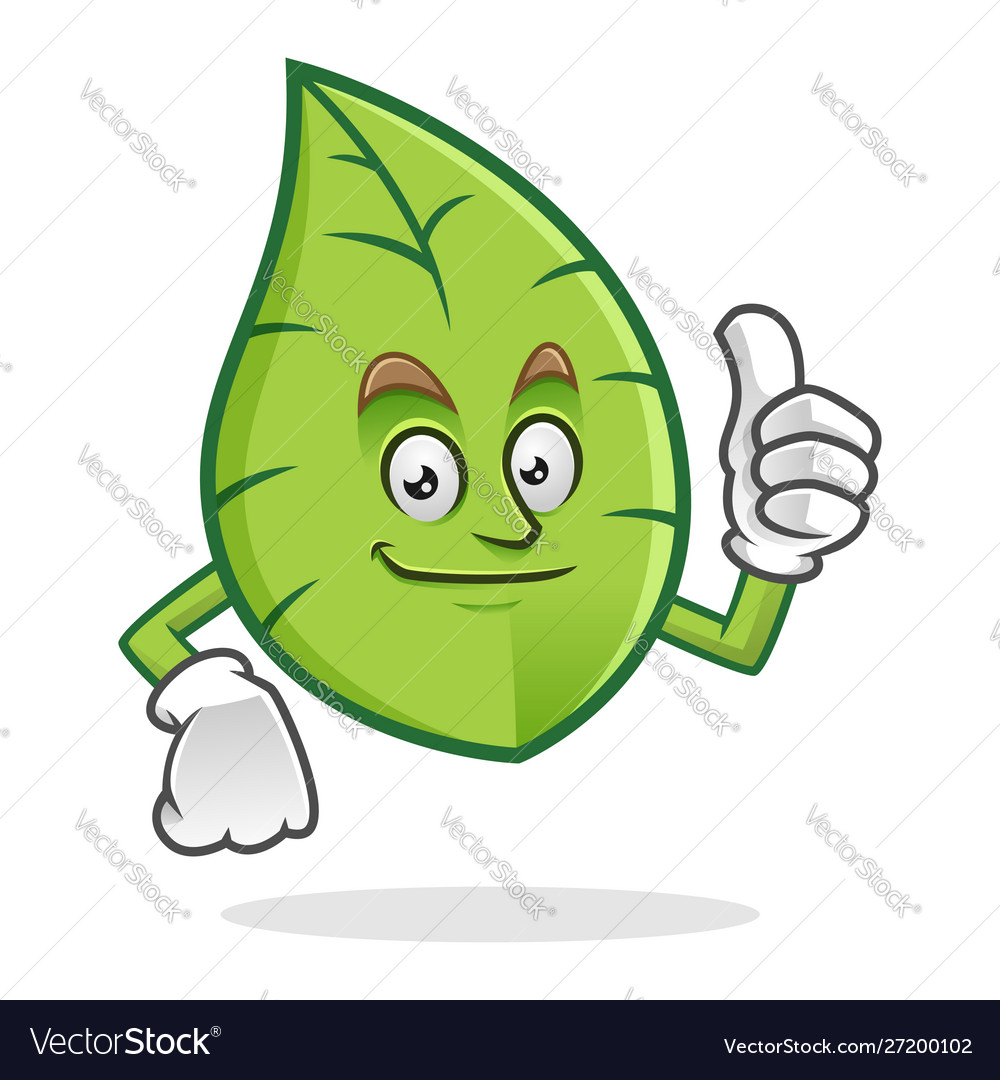 Thumb up leaf mascot leaves character cartoon Vector Image