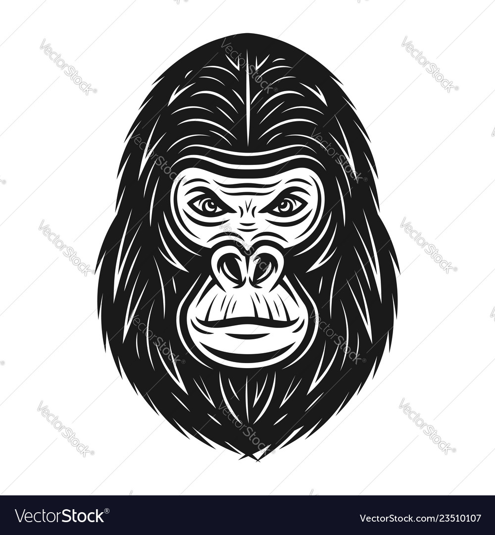 Gorilla head in vintage style vector image Gorilla head in vintage style
