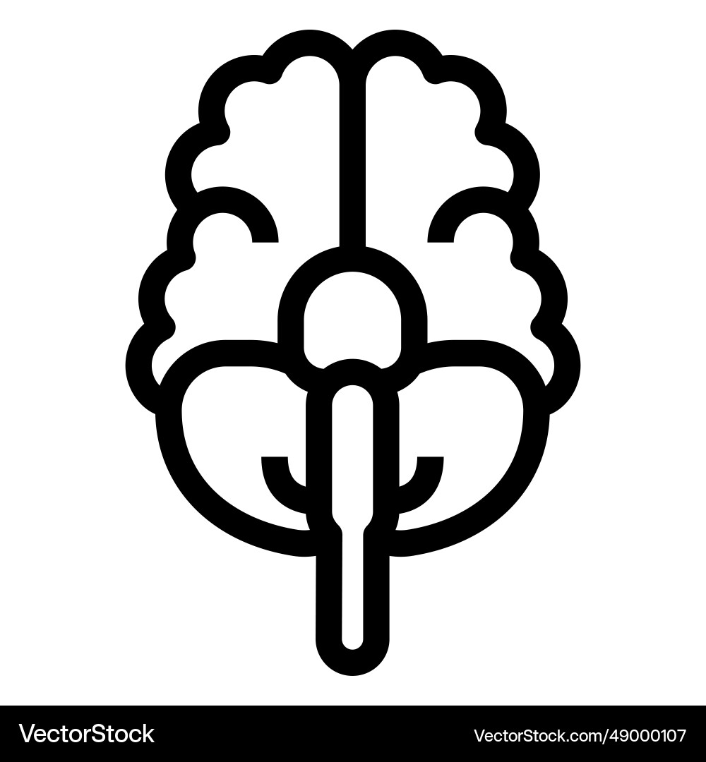 Simple stroke brain from below Royalty Free Vector Image