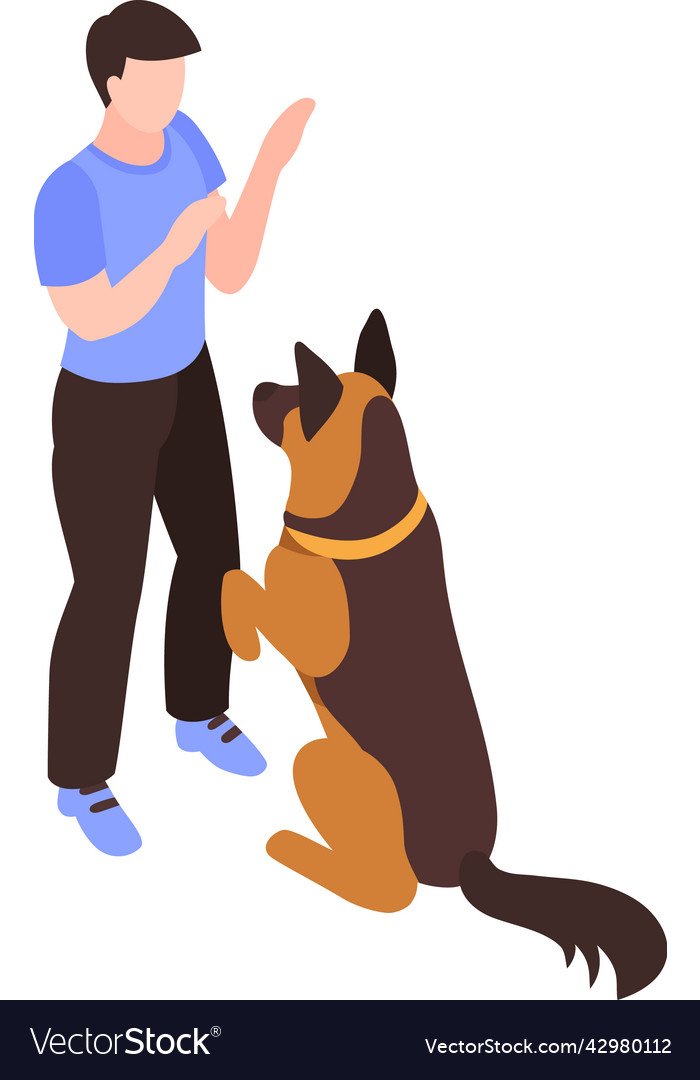 What Is The Touch Command For Dogs