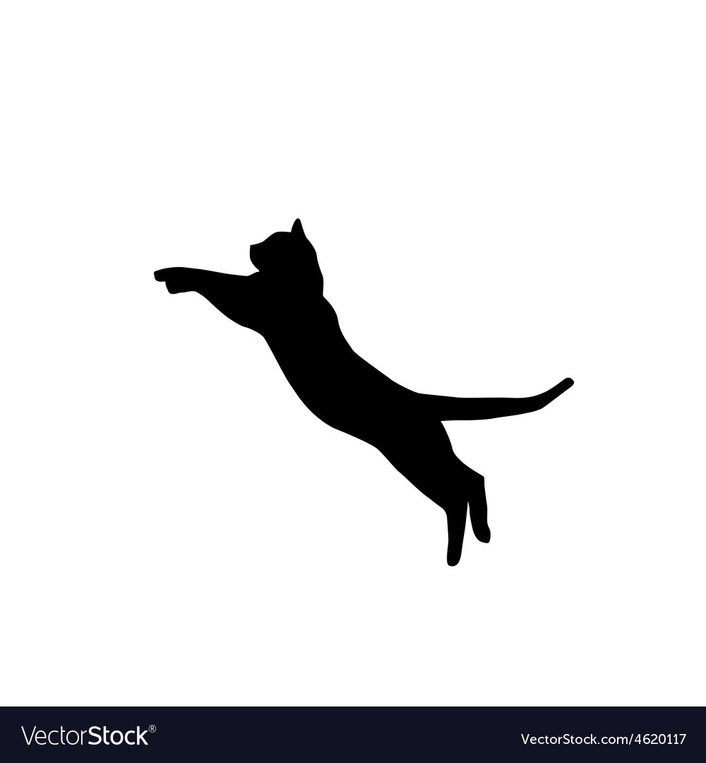 Cat silhouette